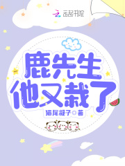 鹿先生他又栽了在线阅读