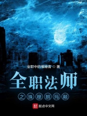 全职法师之珠穆朗玛颠在线阅读