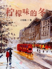 柠檬味的冬在线阅读