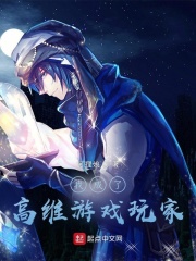 我成了高维游戏玩家在线阅读