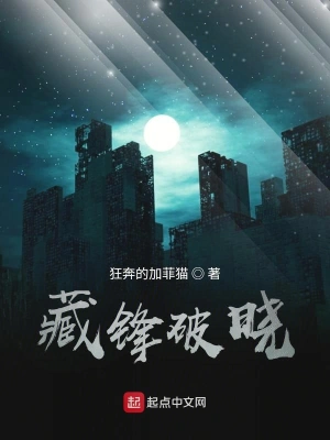 藏锋破晓