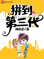 拼到第三代在线阅读