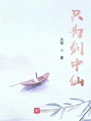 只为剑中仙在线阅读