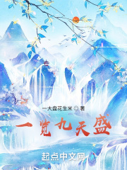 一览九天盛在线阅读