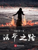法爷之路在线阅读