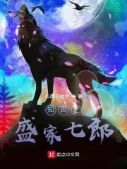 知否之盛家七郎在线阅读