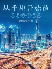 从手机开始的平价商业帝国在线阅读