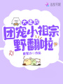 大佬的团宠小祖宗野翻啦在线阅读