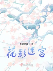 花影迷宫