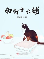南街十六铺在线阅读