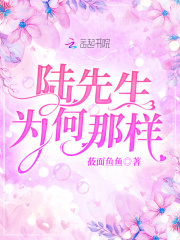 陆先生为何那样在线阅读
