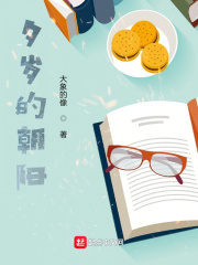 夕岁的朝阳在线阅读