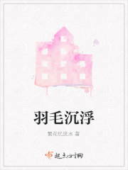 羽毛沉浮在线阅读