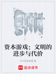 资本游戏：文明的进步与代价在线阅读