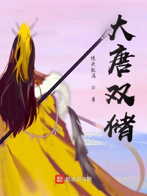 大唐双储在线阅读