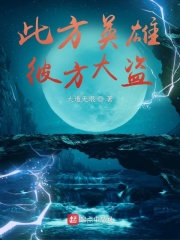此方英雄，彼方大盗！在线阅读
