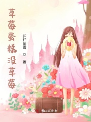 草莓蛋糕没草莓