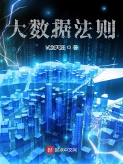 大数据法则在线阅读
