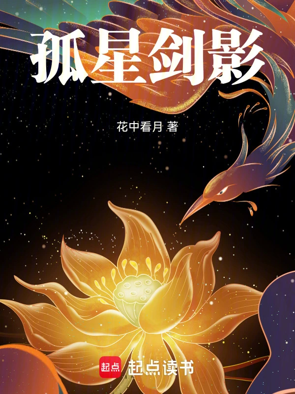 孤星剑影