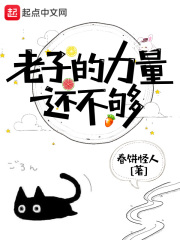 老子的力量还不够在线阅读