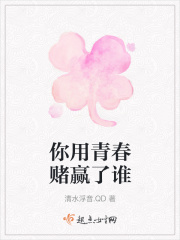 你用青春赌赢了谁在线阅读
