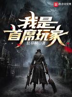 我是首席玩家封面