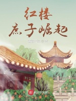 红楼：庶子崛起在线阅读