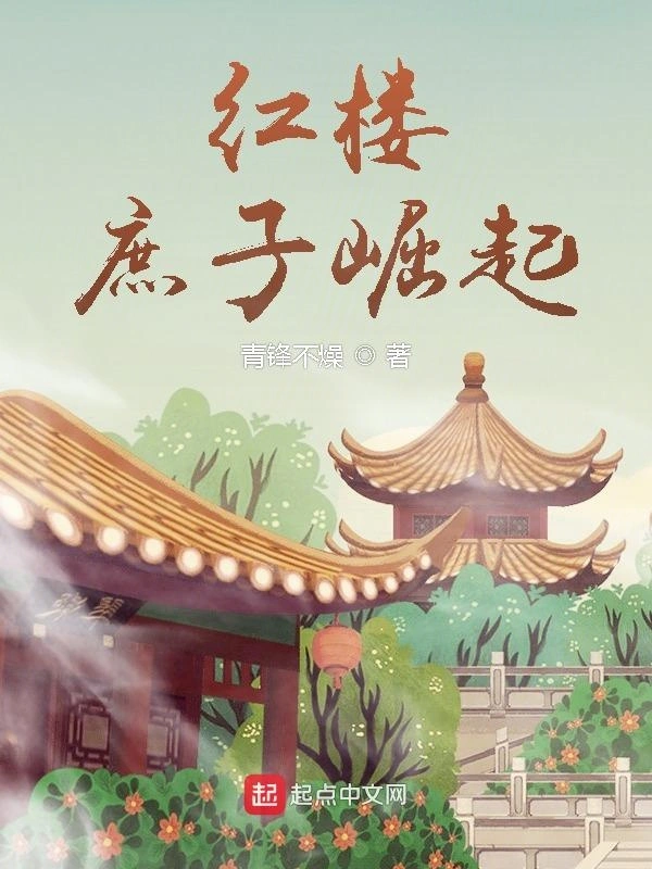 红楼:庶子崛起