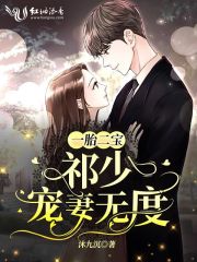 一胎二宝：祁少宠妻无度在线阅读