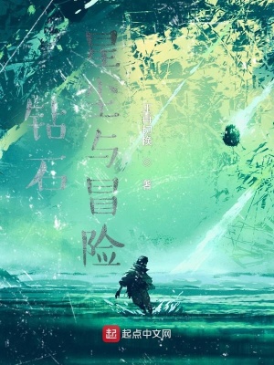 钻石，星尘与冒险在线阅读