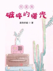 你是我破碎的曙光在线阅读