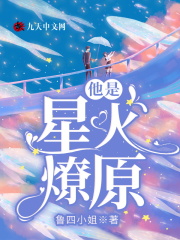 他是星火燎原在线阅读