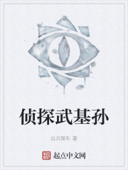 侦探武基孙在线阅读