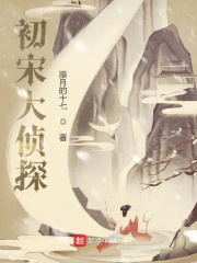 初宋大侦探在线阅读