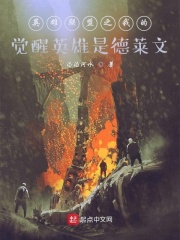 英雄联盟之我的觉醒英雄是德莱文在线阅读