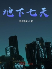 地下七天在线阅读