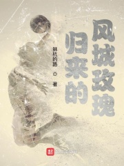 NBA：归来的风城玫瑰在线阅读