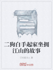 二狗白手起家坐拥江山的故事