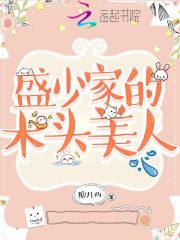 盛少家的木头美人