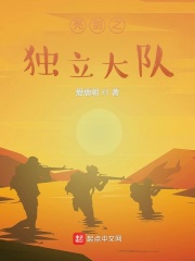 亮剑之独立大队在线阅读