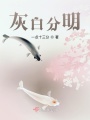 灰白分明在线阅读