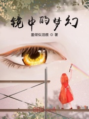 镜中的梦幻在线阅读