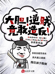 大胆！逆贼竟敢造反！在线阅读