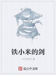 铁小米的剑在线阅读