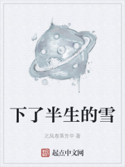 下了半生的雪在线阅读