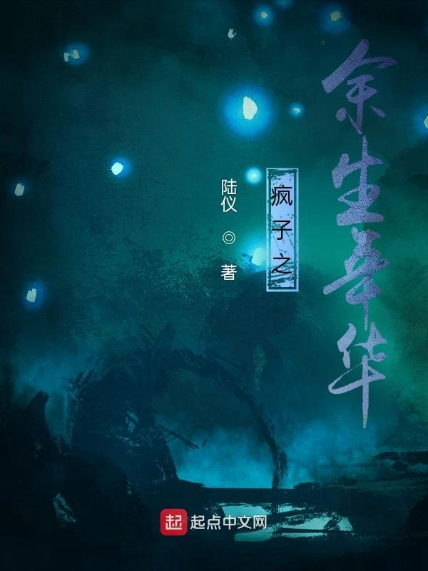 疯子之余生年华