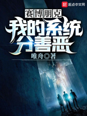赛博朋克：我的系统分善恶在线阅读