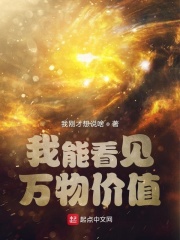 我能看见万物价值在线阅读