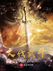 文伐武斗在线阅读