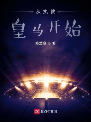 《从执教皇马开始》（校对全本）作者：陈爱庭【TXT】